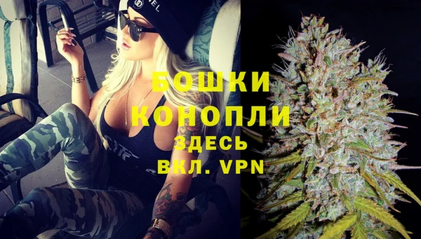 стафф Волоколамск