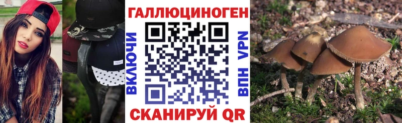 Псилоцибиновые грибы ЛСД  mega маркетплейс  Новокубанск  продажа наркотиков 